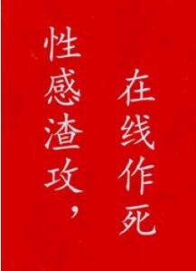 我见风雪
