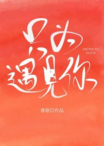 只为遇见你